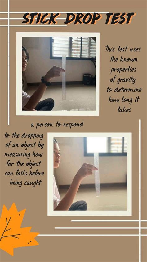 stick drop test chart|stick drop test measurement.